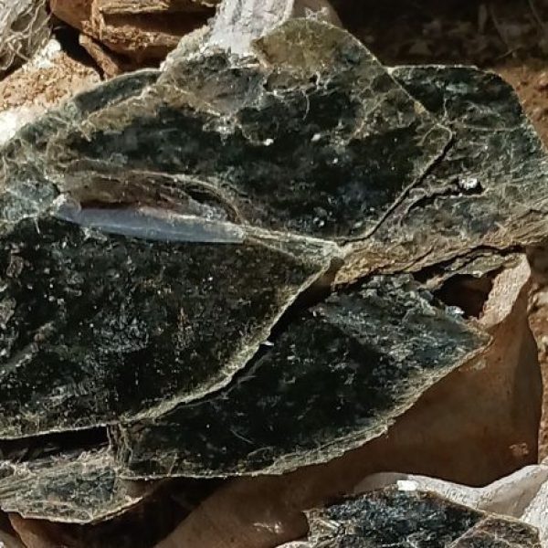 photo_2023-05-26_18-18-23