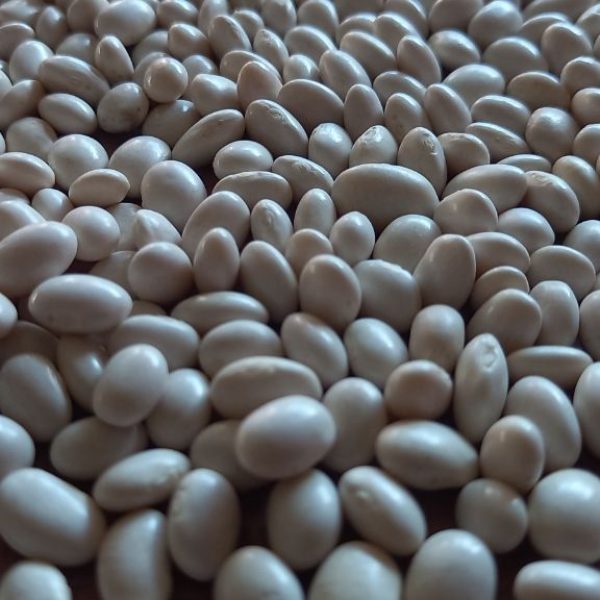 photo_2023-05-26_18-19-53