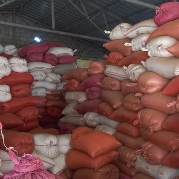 photo_2023-05-26_18-19-57